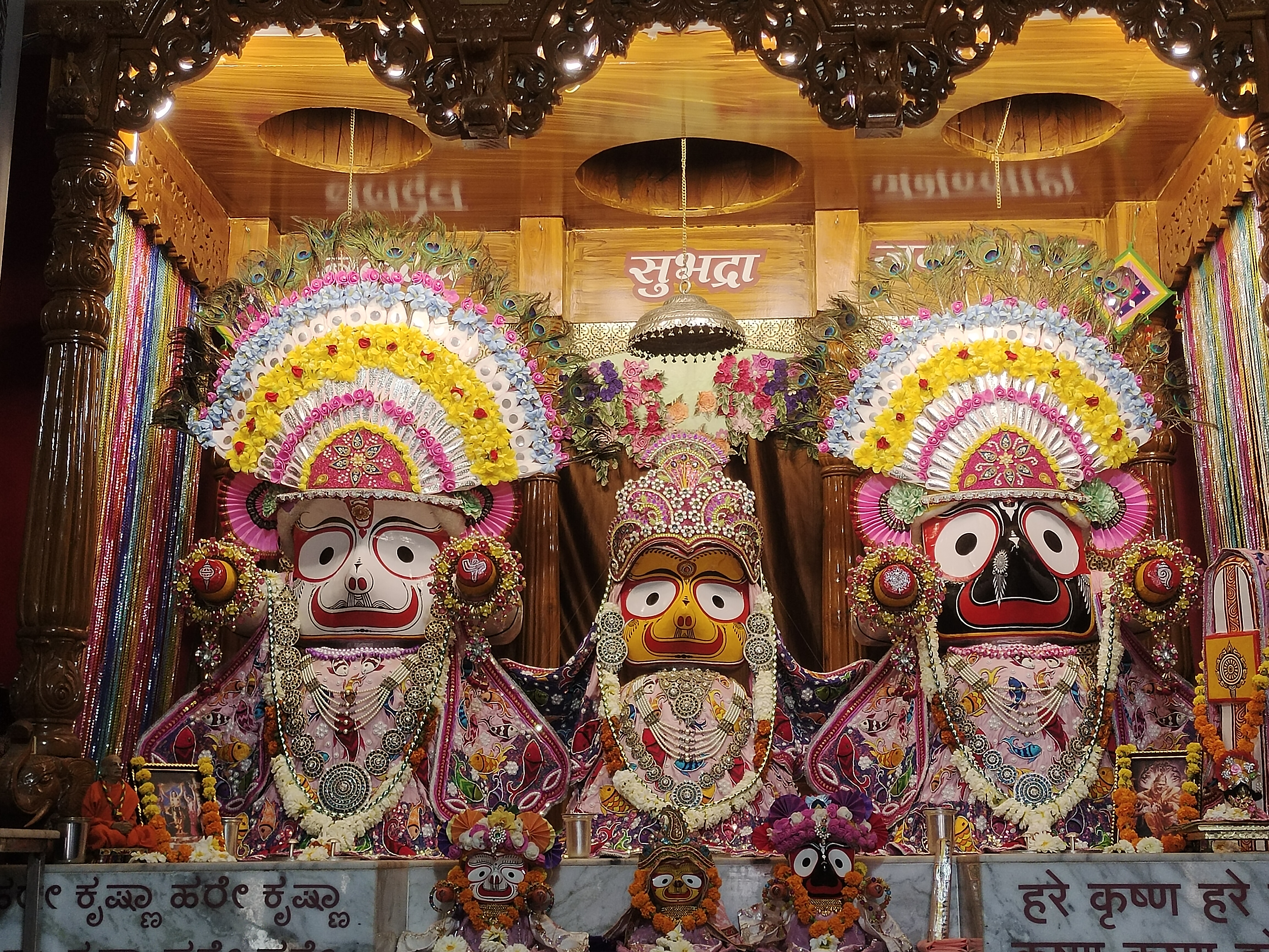 Matsya Avatara Shringar